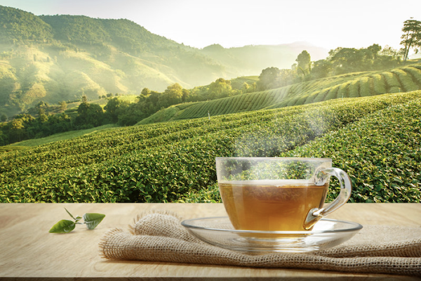 Comment bien choisir un thé bio ? Consommer Durable